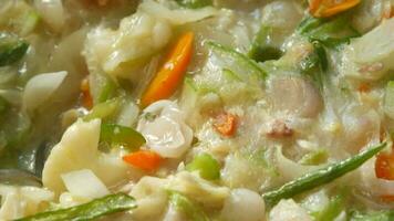 Close up of vegetable soup in a bowl video