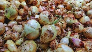 Ausgezeichnet trocken Zwiebel auf das Gemüse Markt Stall video