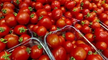 excelente tomates em a vegetal mercado impedir video
