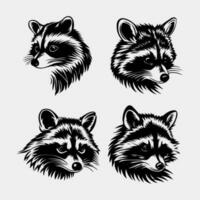 set of raccoon head vector logo