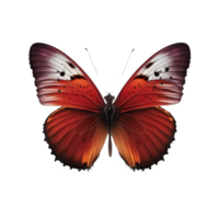 une étourdissant rouge papillon flotteurs gracieusement sur une clair, transparent toile de fond, mettant en valeur ses complexe détails et vibrant couleurs.génératives ai png