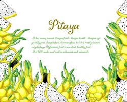 Dragon fruit frame. Exotic pitaya vector illustration. Healthy yellow pitahaya design of delicious pieces. Exotic juicy fruit