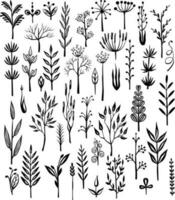 Set of rustic decorative plants Print vector