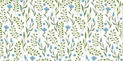 Vector seamless pattern cornflowers wildflowers on white background. Great for linens, wallpapers, covers.