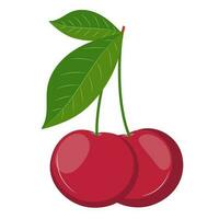 Ripe cherry. Cherry with leaves. Cherry illustration on the white background vector