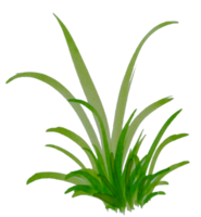 aquarelle herbe. main tiré herbe png