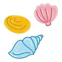 Set of sea shells on a white background. Flat vector