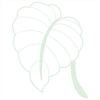 Line art leaf vector