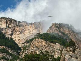 Scenic landscape with autumn mountain valley against large mount photo