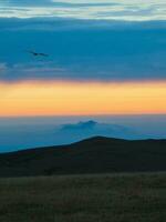 Abstract background, Mountain scenery with mist clouds and flight lonely bird in the dawn. Dawn mountains have become impressive landscapes due to the orange sky and fog. Vertical view. photo