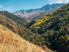 Minimalist autumn landscape with diagonal orange mountainside covered with green woods. Minimal mountain scenery with slope of hill in golden sunlight in autumn time. photo