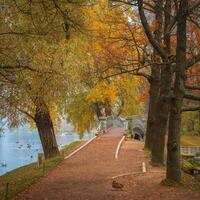 Foggy autumn landscape in State Museum Reserve Gatchina. Foggy autumn view of the park and old stone bridge. Square view. photo