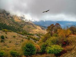 Soft focus. Highway through a mountain pass. Hawk over the mountain. Wonderful  scenery with rocks and mountains in dense low clouds. Atmospheric highlands landscape with mountain tops under clouds. photo