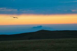 Abstract background, Mountain scenery with mist clouds and flight lonely bird in the dawn. Dawn mountains have become impressive landscapes due to the orange sky and fog. photo