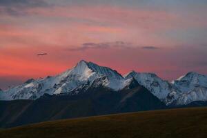 Nevado montaña picos a amanecer. púrpura puesta de sol terminado majestuoso montañas. puesta de sol en magenta tonos atmosférico púrpura paisaje con un alta altitud Nevado montaña valle. foto
