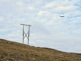 Old telegraph pole. Wooden supports in the Mongolian steppe. photo