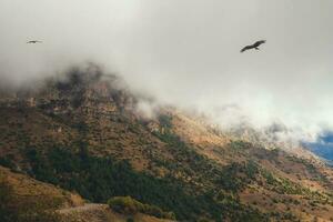 Soft focus. Highway through a mountain pass. Hawk over the mountain. Wonderful  scenery with rocks and mountains in dense low clouds. Atmospheric highlands landscape with mountain tops under clouds. photo