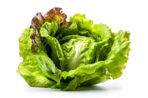 fresh lettuce isolated on white AI Generate photo