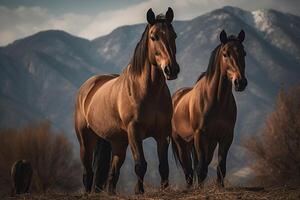 Portrait horse on the hill AI Generate photo