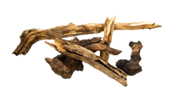 piles of dead wood isolated png