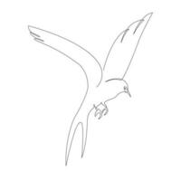 Single continuous line drawing sketch of a flying swallow bird on a white background vector