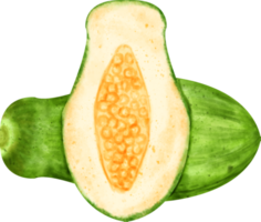 vattenfärg papaya vegetabiliska png