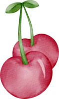 watercolor cherry fruit clip art png