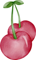 waterverf kers fruit klem kunst png