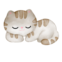 aquarelle minou mignonne png