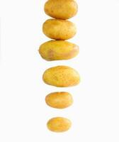 Isolated potatoes lined up photo