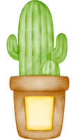 watercolor cactus plant png