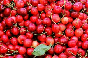 Fresh Cherries background photo