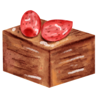 watercolor shortcake chocolate png