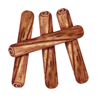 watercolor Cinnamon vegetable png