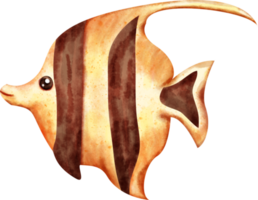 vattenfärg hav fisk png