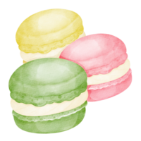 macaroon watercolor dessert png