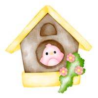 watercolor bird house png