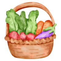 watercolor vegetable basket png