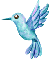 watercolor Bird clip art png