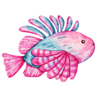 watercolor fish sea animal png