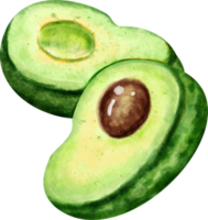 waterverf avocado klem kunst png