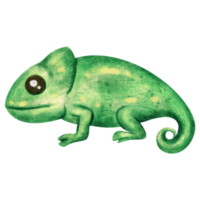 watercolor chameleon clip art png