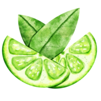 watercolor Lime fruit png