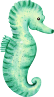 watercolor seahorse ocean png