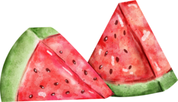 watercolor watermelon clip art png