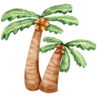 watercolor coconut tree png