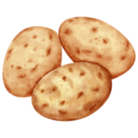 vattenfärg potatis klämma konst png