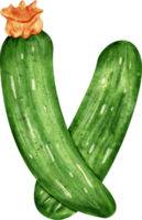 vattenfärg zucchini klämma konst png