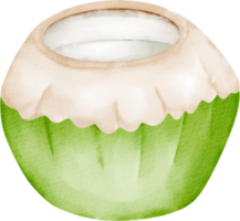 waterverf kokosnoot fruit klem kunst png