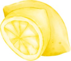 akvarell citron frukt png